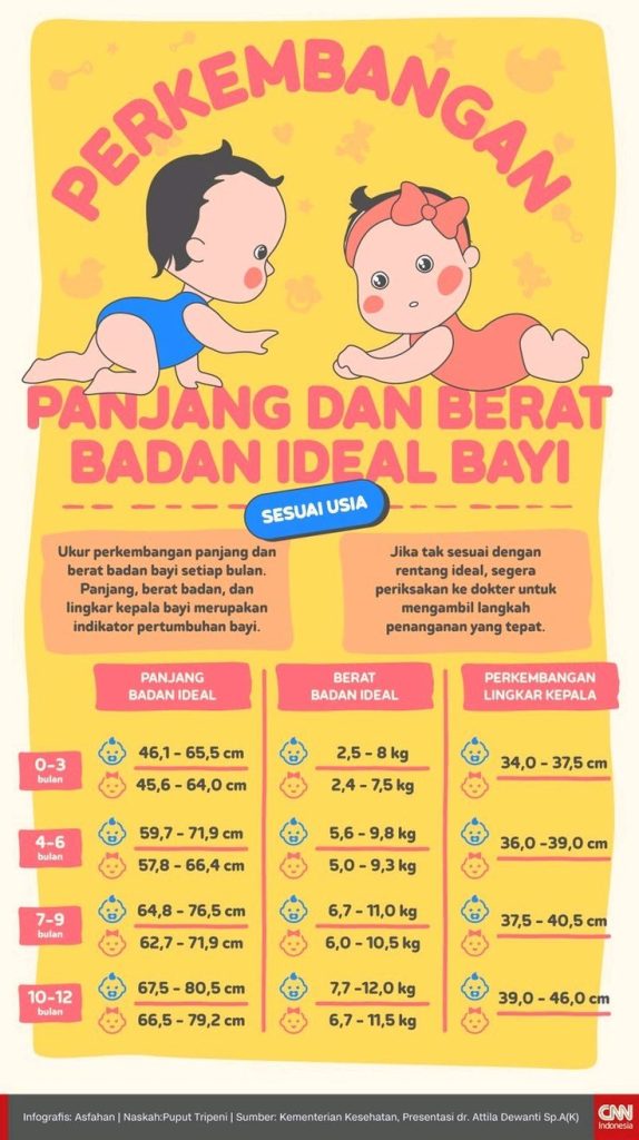 "panjang dan berat anak jayapura"