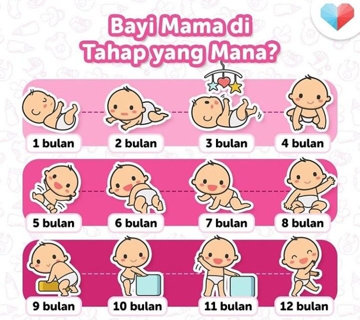 "pijat bayi wamena"